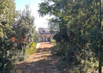 20231012_103425.jpg - Villa SP49 108, Martina Franca - foto 6