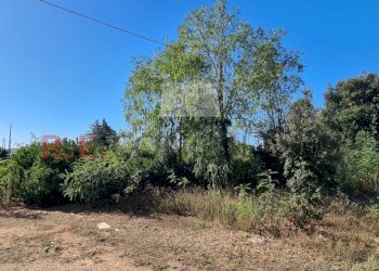 20231012_104506.jpg - Villa SP49 108, Martina Franca - foto 21