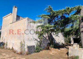 20231012_104539.jpg - Villa SP49 108, Martina Franca - foto 22