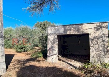 20231012_104614.jpg - Villa SP49 108, Martina Franca - foto 23