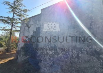 20231012_104641.jpg - Villa SP49 108, Martina Franca - foto 25