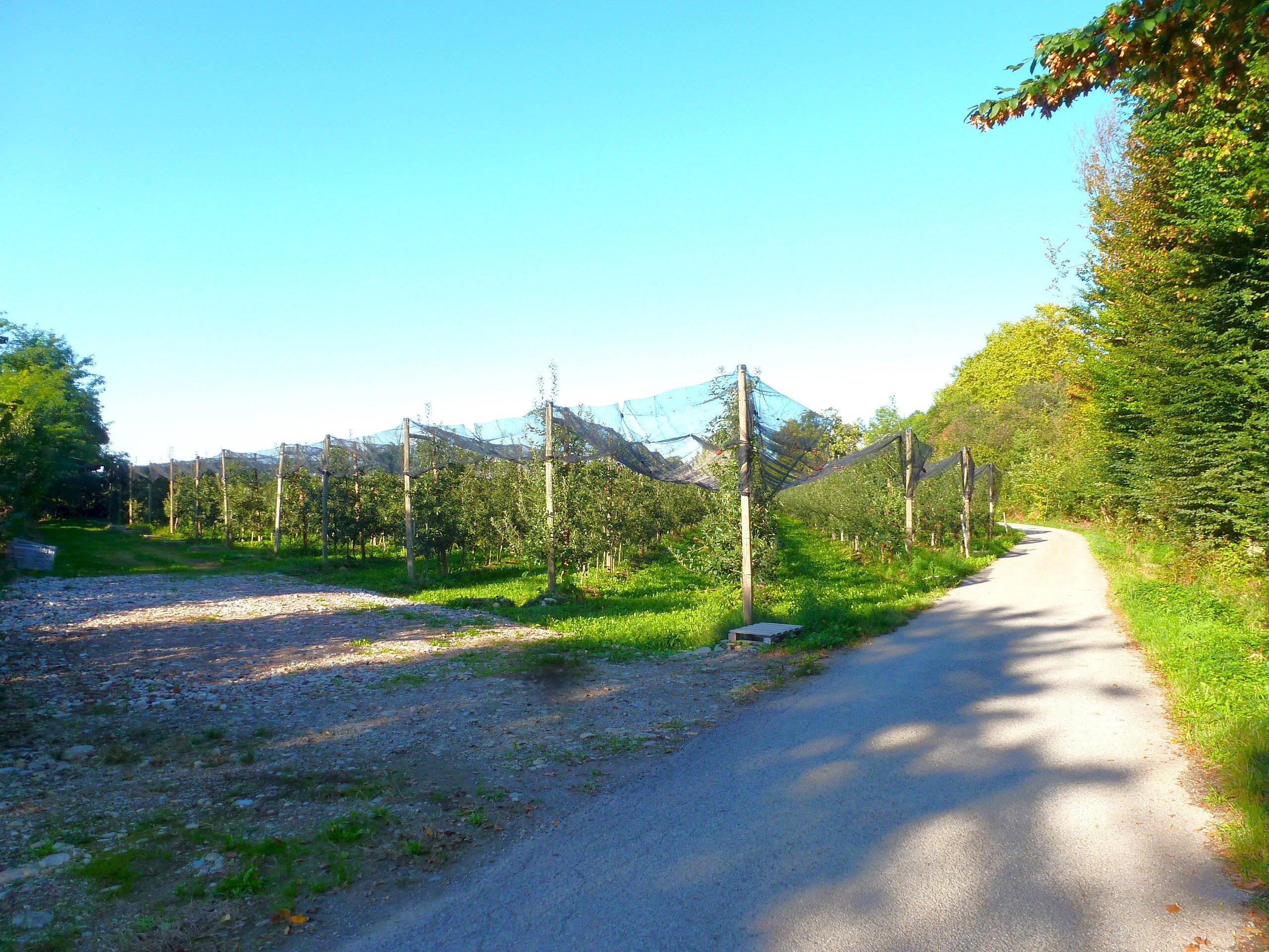 Agricultural land via della Battaglia, hamlet Madonna dell'Olmo, Cuneo - photo 2