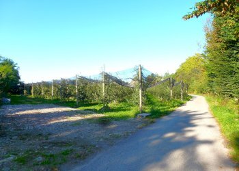 Terreno agricolo via della Battaglia, frazione Madonna dell'Olmo, Cuneo - foto 2