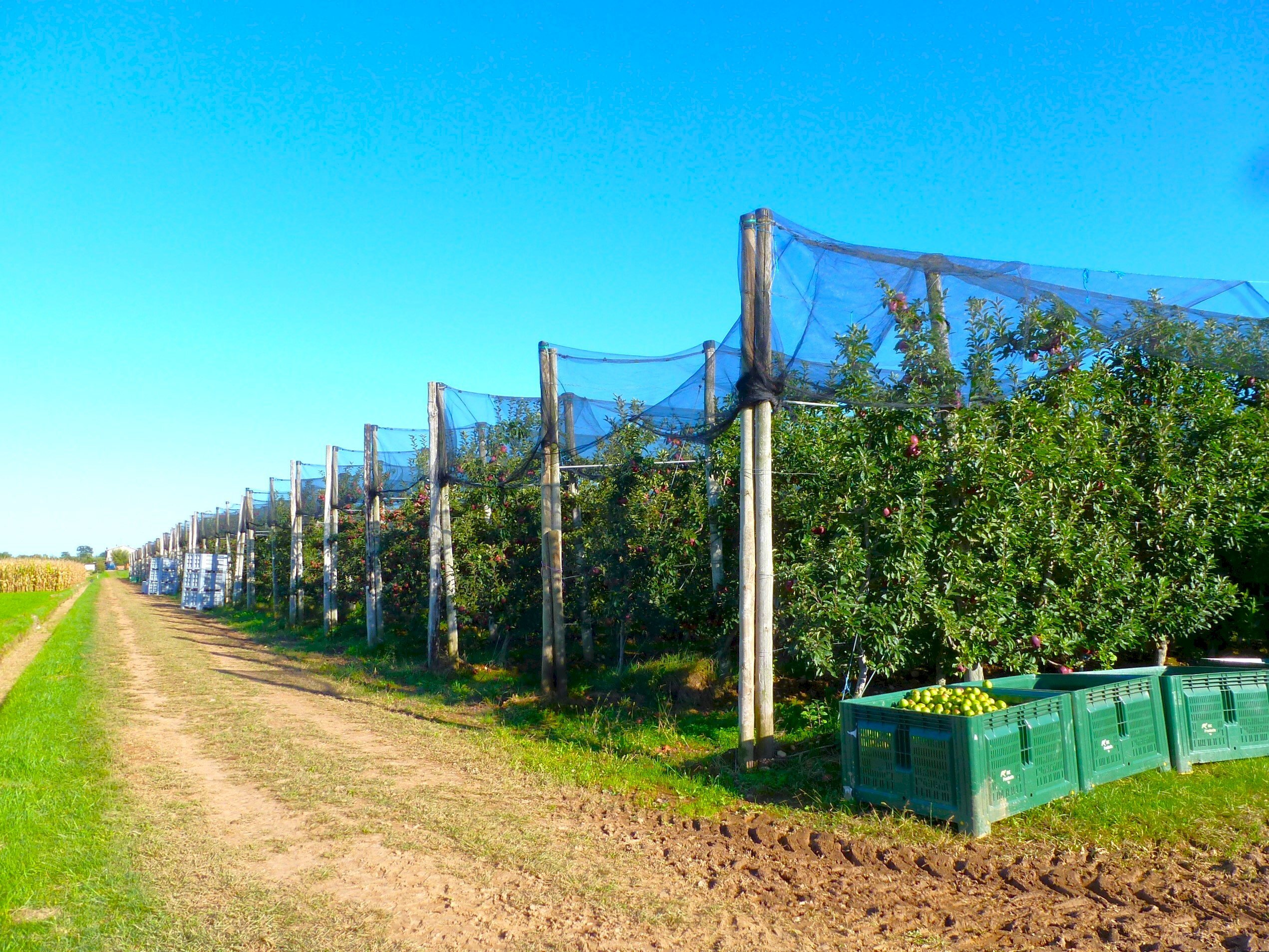 Terreno agricolo Cuneo - foto 1
