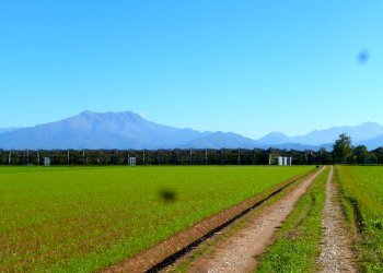 Terreno agricolo Cuneo - foto 6