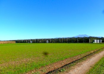 Terreno agricolo Cuneo - foto 7