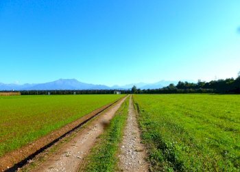 Terreno agricolo Cuneo - foto 8