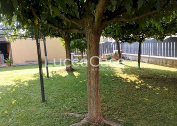 Villa Lucca (neighborhood Mugnano) - photo 16