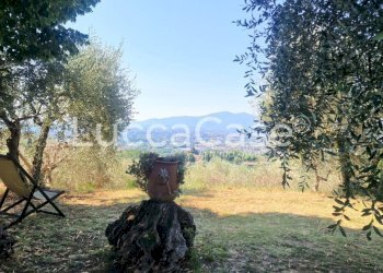 Farmhouse Lucca - photo 40