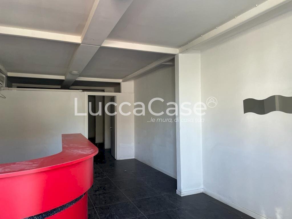 Negozio Viareggio - foto 3