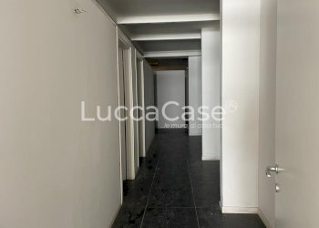 Negozio Viareggio - foto 4
