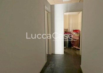 Negozio Viareggio - foto 8