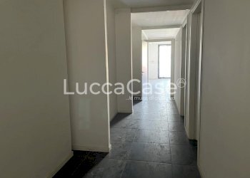 Negozio Viareggio - foto 10