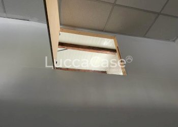 Negozio Viareggio - foto 11