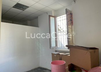 Negozio Viareggio - foto 14