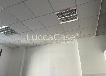 Negozio Viareggio - foto 15