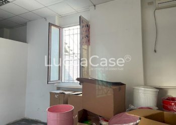 Negozio Viareggio - foto 18
