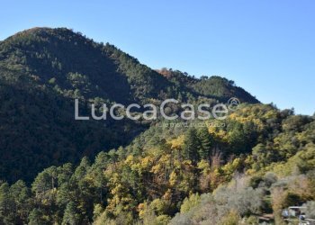 Semi-detached house Lucca - photo 4