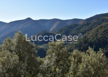 Semi-detached house Lucca - photo 16