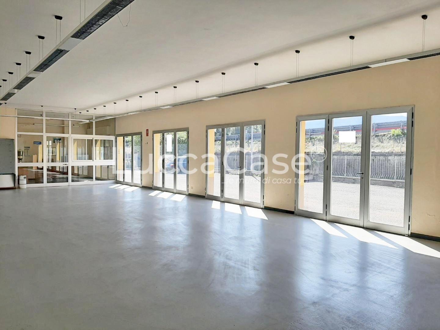 Commercial Premises Lucca (neighborhood San Concordio Contrada) - photo 1