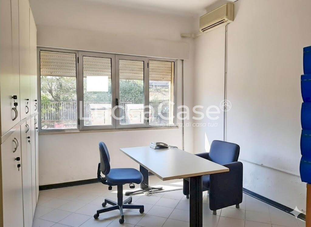 Commercial Premises Lucca (neighborhood San Concordio Contrada) - photo 3