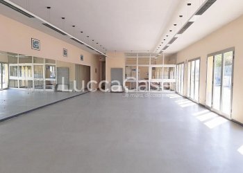 Commercial Premises Lucca (neighborhood San Concordio Contrada) - photo 2