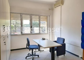 Commercial Premises Lucca (neighborhood San Concordio Contrada) - photo 3