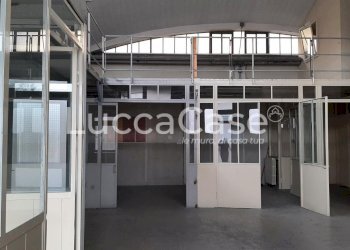 Shed Lucca (neighborhood San Concordio Contrada) - photo 4