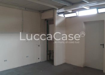 Shed Lucca (neighborhood San Concordio Contrada) - photo 5