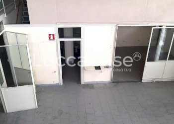 Shed Lucca (neighborhood San Concordio Contrada) - photo 8