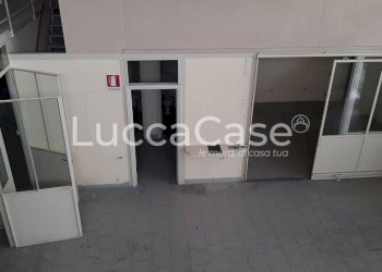 Shed Lucca (neighborhood San Concordio Contrada) - photo 11