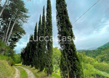 Casale Lucca (neighborhood Vicopelago) - photo 4