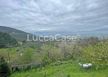 Casale Lucca (neighborhood Vicopelago) - photo 7