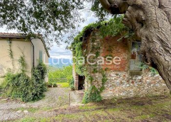 Casale Lucca (neighborhood Vicopelago) - photo 10