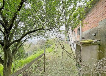 Casale Lucca (neighborhood Vicopelago) - photo 72
