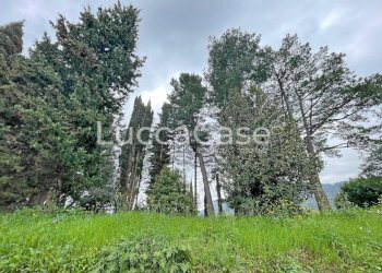 Casale Lucca (neighborhood Vicopelago) - photo 77