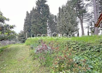 Casale Lucca (neighborhood Vicopelago) - photo 78