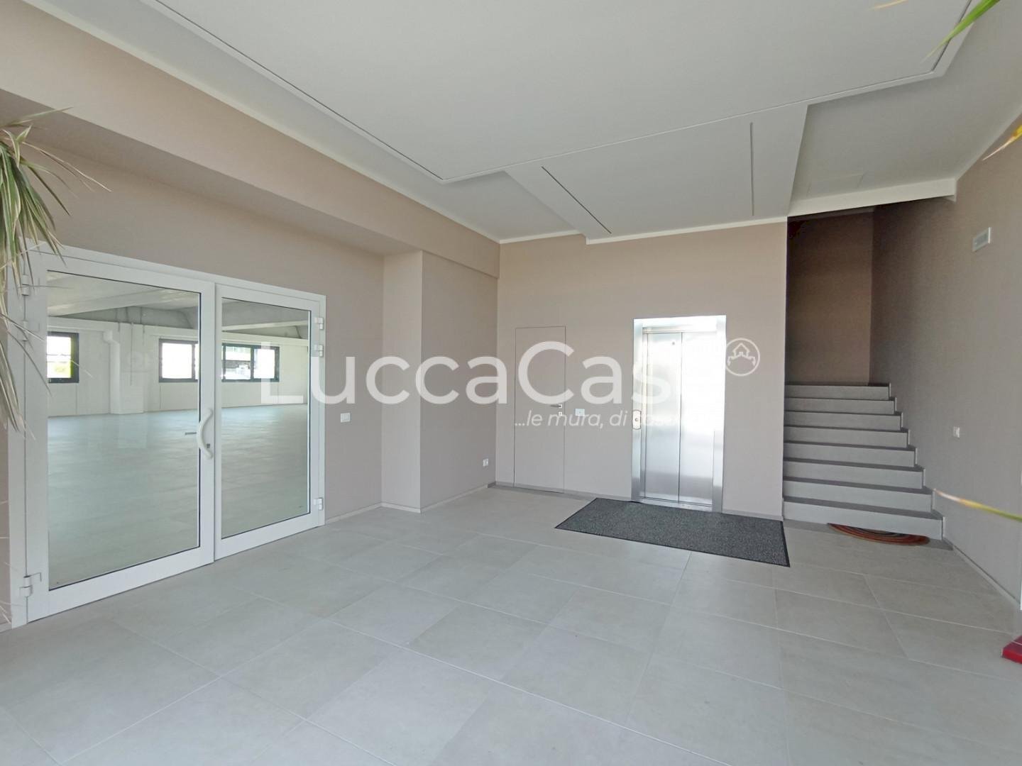 Commercial Premises Lucca (neighborhood San Filippo) - photo 3