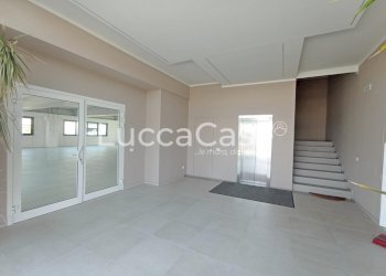 Commercial Premises Lucca (neighborhood San Filippo) - photo 4