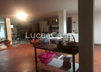 Villa Lucca (neighborhood Sant'Alessio) - photo 31