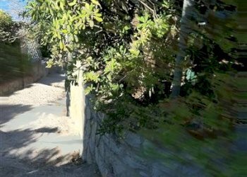 Villa Livorno - photo 5