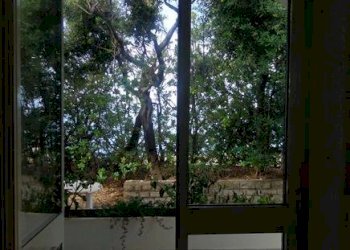 Villa Livorno - photo 17