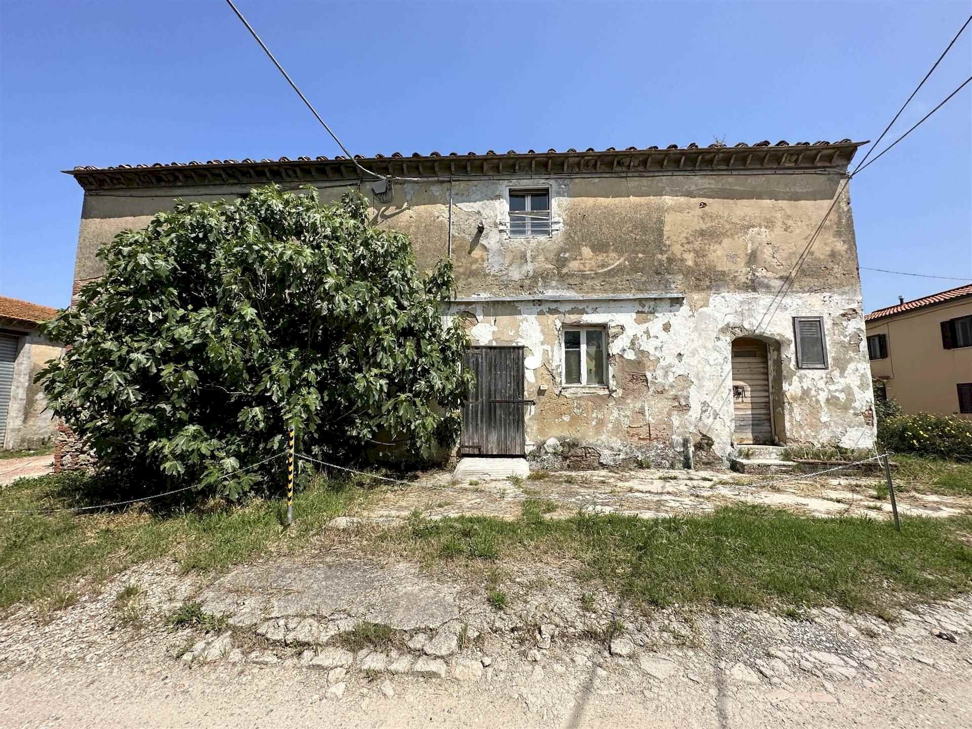 Rustic Collesalvetti - photo 2