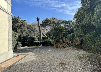 Villa Bifamiliare Livorno - foto 12