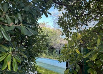 Villa Bifamiliare Livorno - foto 22