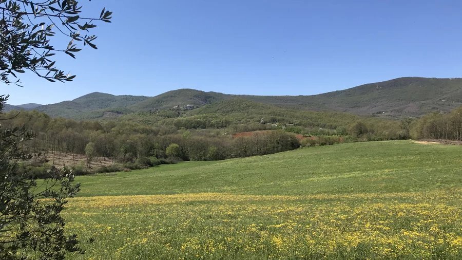 Casale Avigliano Umbro - photo 1