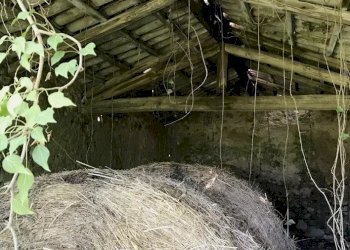 Casale Avigliano Umbro - photo 13