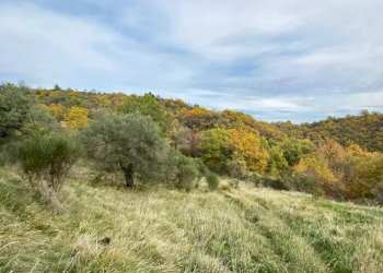 Villa Gubbio - foto 5