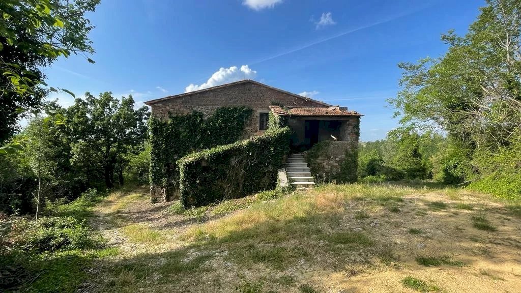 Casale San Venanzo - foto 1