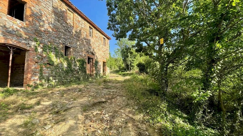 Casale San Venanzo - foto 3